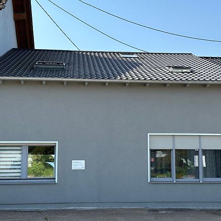 Grosse Ferienwohnung Gaestehaus Neubau Merzig 120M2 Экстерьер фото
